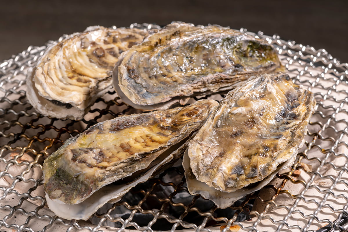 Oysters | 10+ Libido Booster Foods That Will Make Viagra Effect