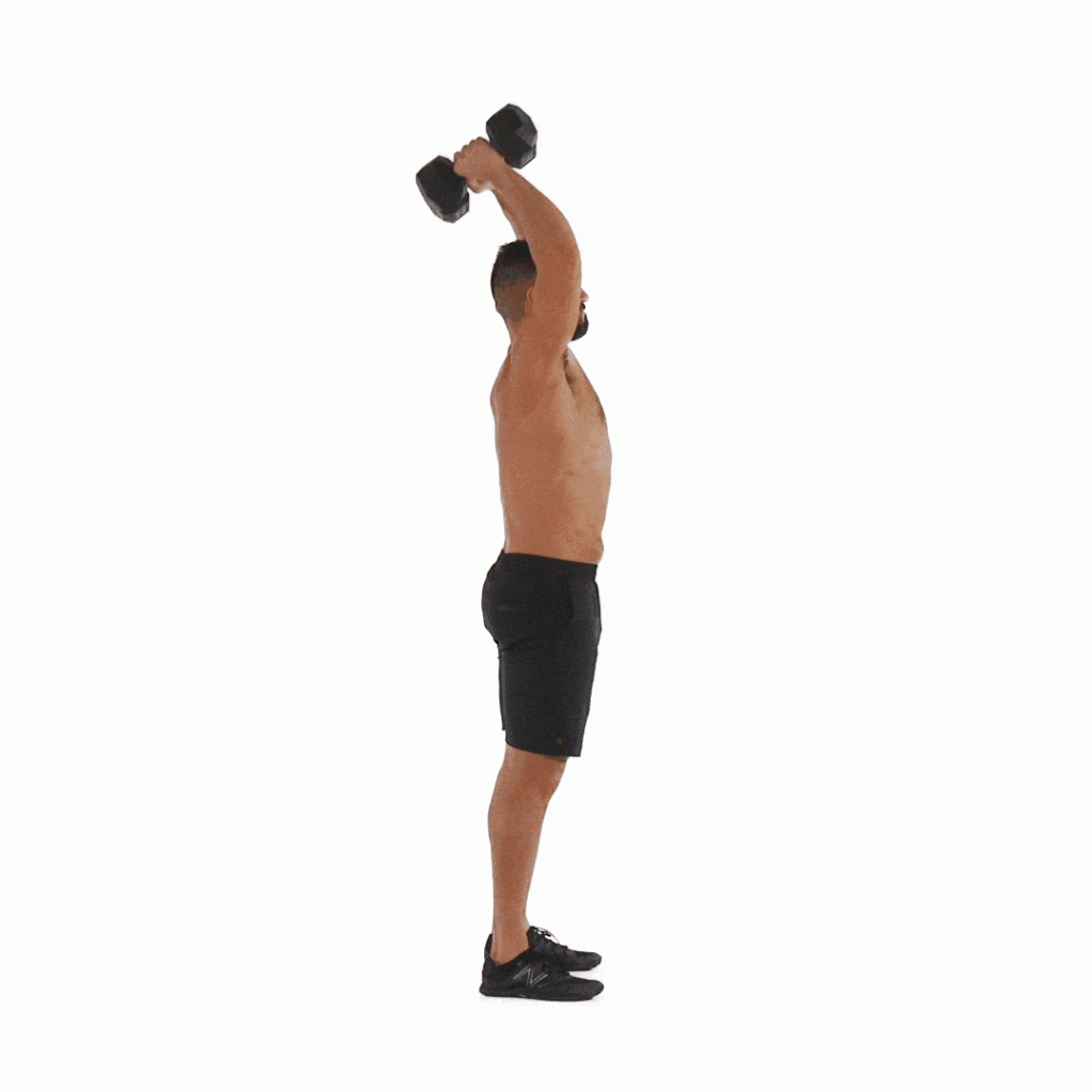 Full-Body Dumbbell Workout : 14 Best Dumbbell Exercises