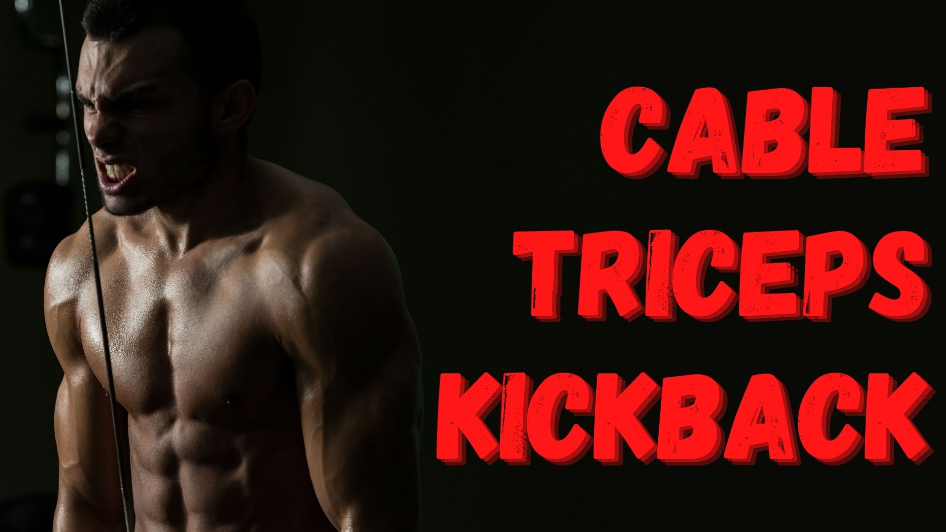 Cable Triceps Kickback
