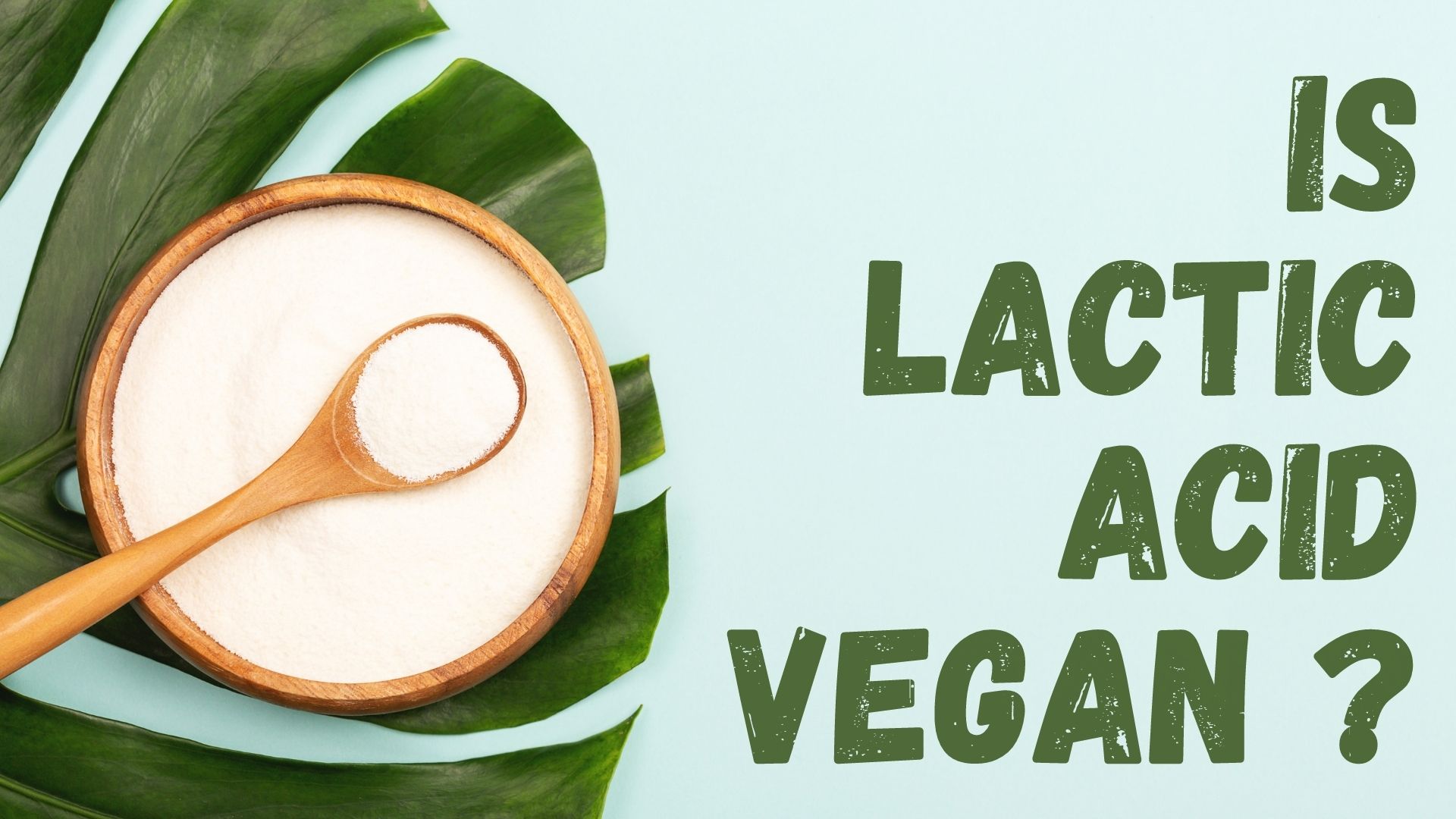 Is Lactic Acid Vegan Or Not Vegan