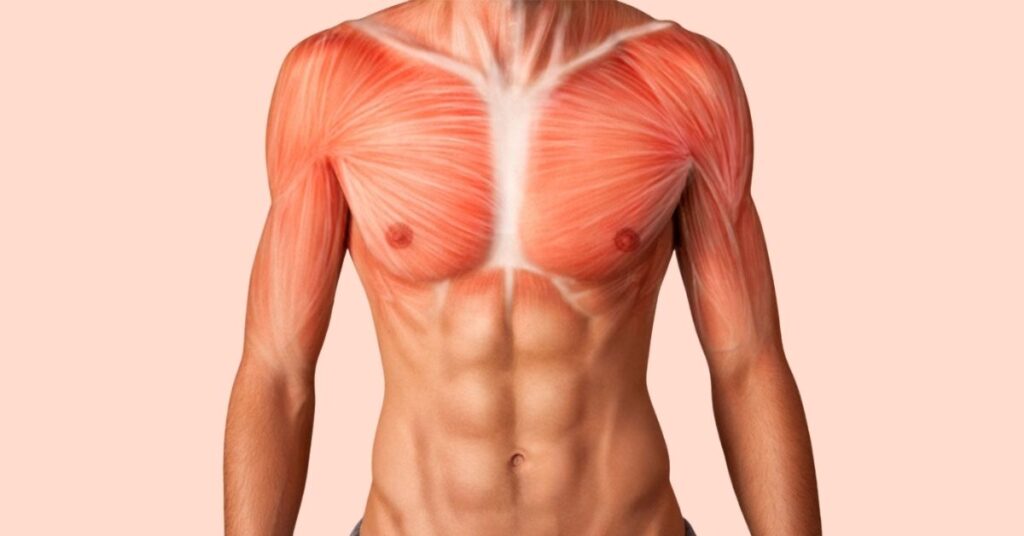 How to Do Chest Exercises