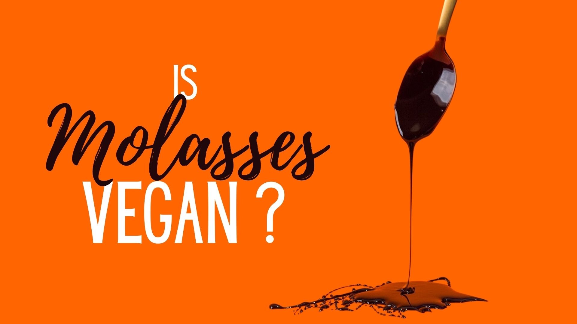 Is Molasses Vegan