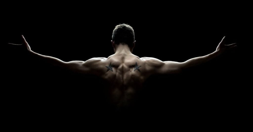Anatomy Of Back Muscle