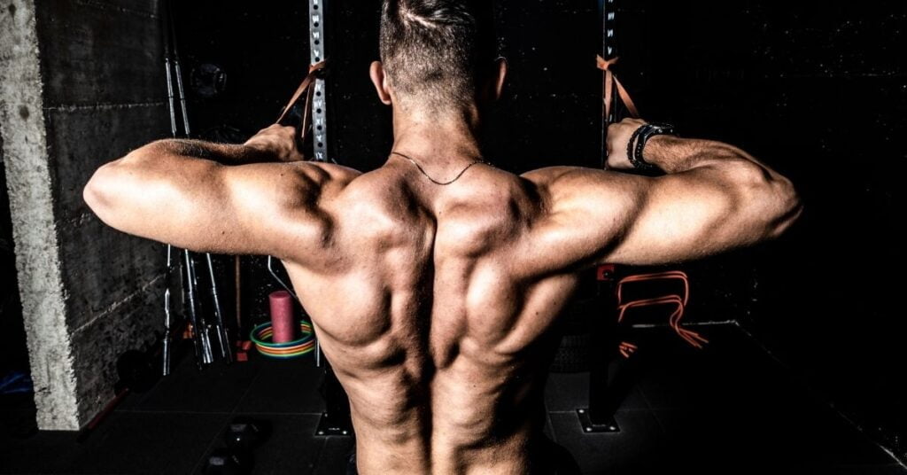 Back Muscle Anatomy Trapezius Muscle