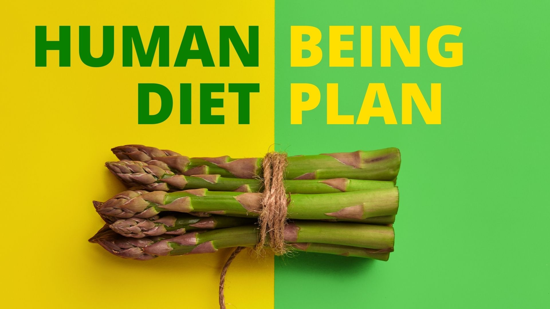 The Human Being Diet