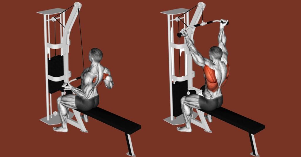 Close Grip Pulldown Working Muscles