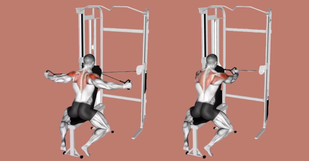 The Cable Rear Delt Fly Working Muscles