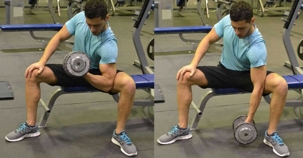 The Dumbbell Concentration Curl Mistakes