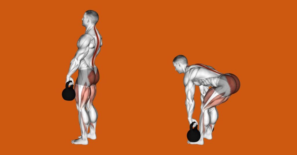 The Kettlebell RDL Working Muscles
