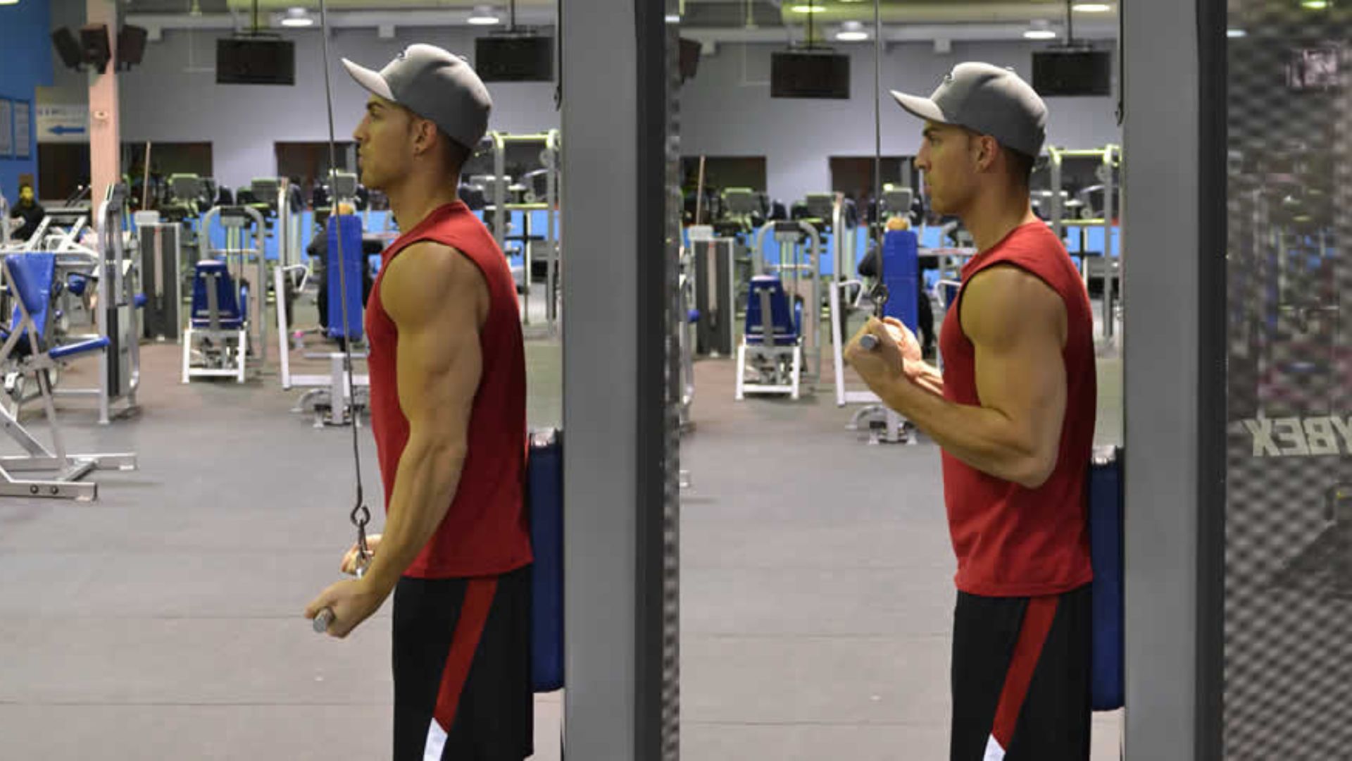 Reverse Grip Tricep Pushdown: The Key to Bigger Arms