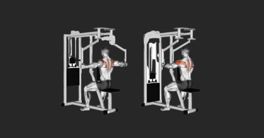 The Rear Delt Fly Machine Working Muscles