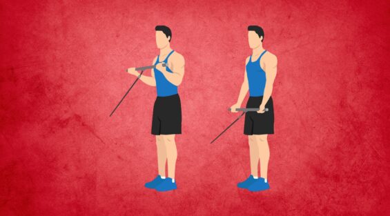 Standing Biceps Cable Curl