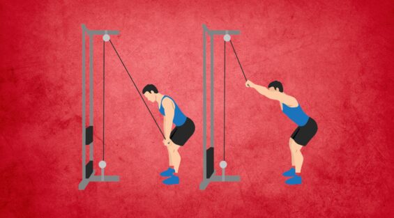 Straight Arm Lat Pull Down