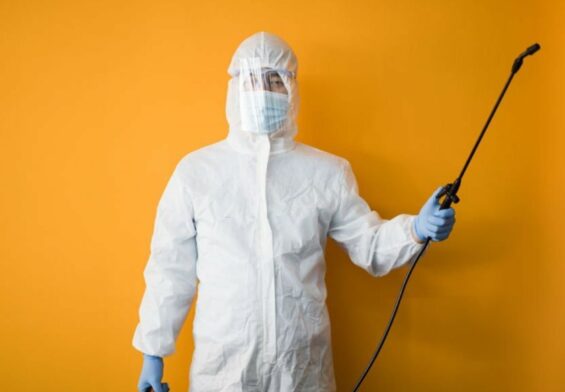 Professional Pest Control vs DIY What is the Difference