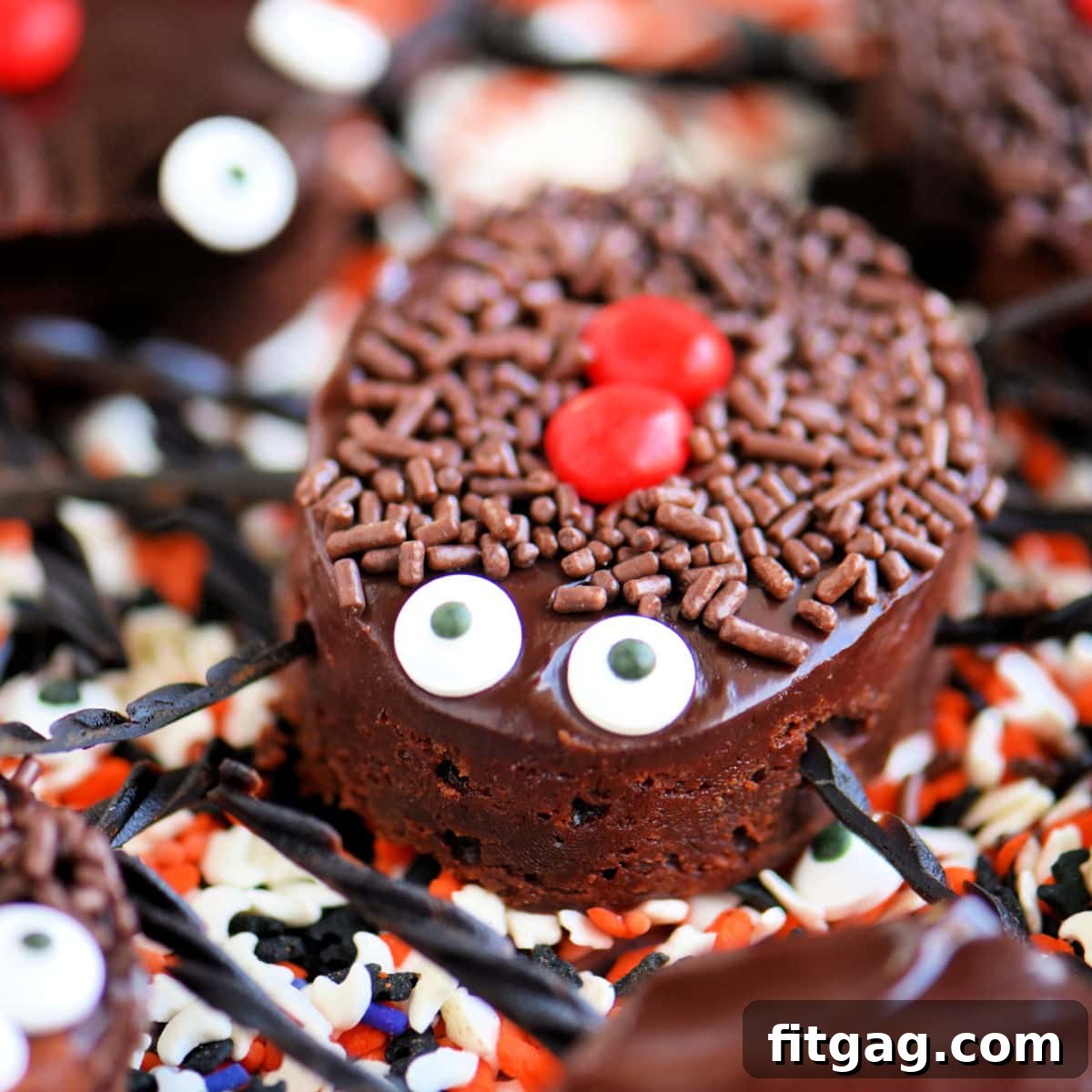 featured 10256