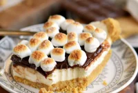 Effortless Campfire Cheesecake Squares