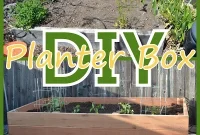 Build Your Own Backyard Planter
