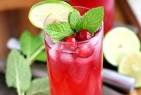 Crimson Mojito Fizz
