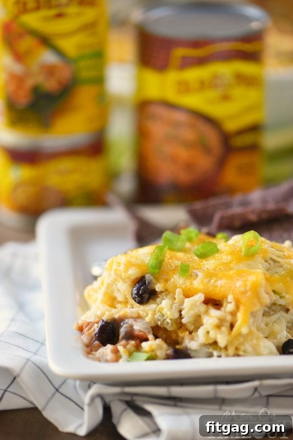 Fiesta Chicken and Rice Bake 4 A plated serving of Mexican Chicken and Rice Casserole, showcasing a perfect portion with melted cheese and a hint of green onions, ready for a comforting family dinner.