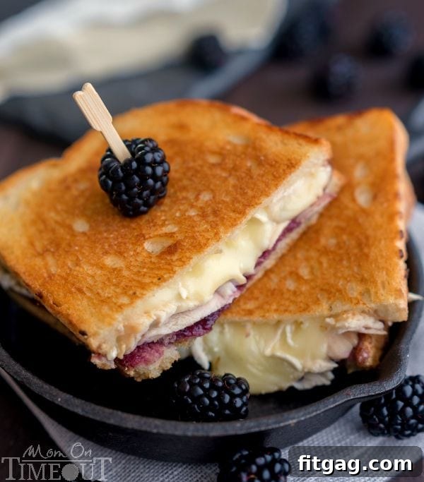 Today's the Day My Cookbook Is Here 2 Delicious Blackberry Brie Grilled Cheese sandwich recipe from the cookbook, showcasing a creative use of rotisserie chicken.
