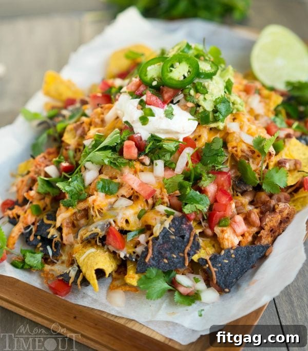 Today's the Day My Cookbook Is Here 4 Chicken Nachos Supreme, a fun and easy rotisserie chicken recipe for appetizers or quick meals, featured in the cookbook.