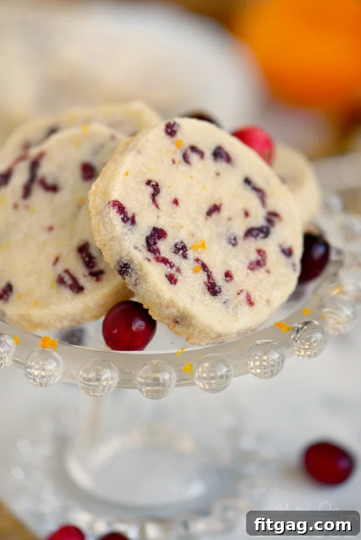 Close-up of freshly baked Cranberry Orange Shortbread Cookies, showcasing their delicate texture and cranberry bits.