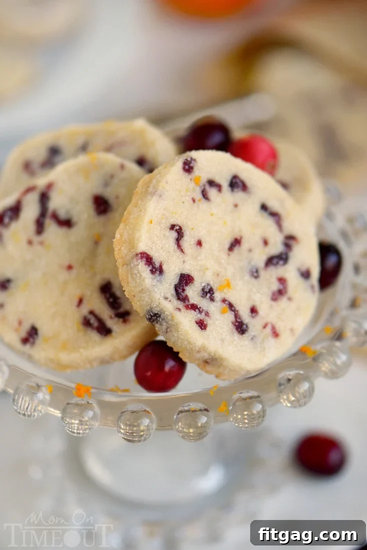 A stack of golden-brown shortbread cookies with visible cranberries and orange zest, dusted with sugar.