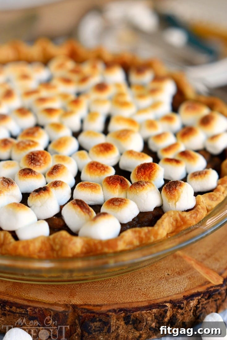 Autumn Spice Sweet Potato Cloud 4 A classic pie with a sticky sweet update...Spiced Sweet Potato Pie with Marshmallow Topping! This easy and DELICIOUS pie needs to make it onto YOUR holiday menu!