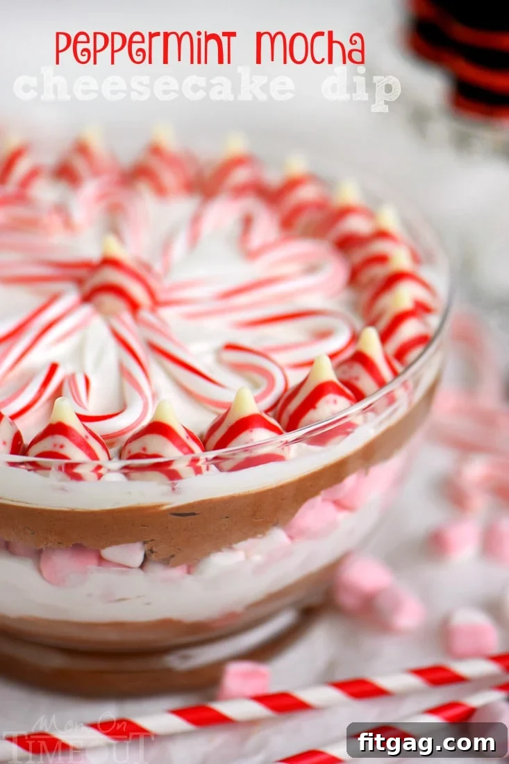 Holiday Peppermint Mocha Cheesecake Dip 2 This easy Layered Peppermint Mocha Cheesecake Dip will be the STAR of all your holiday parties! With it's fun, colorful layers, and 5 minute prep time, everyone wins! Works beautifully as a holiday appetizer or dessert!