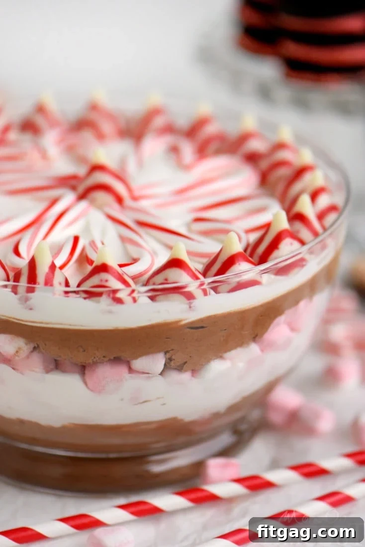 Decadent Peppermint Mocha Cheesecake Dip 4 This easy Layered Peppermint Mocha Cheesecake Dip will be the STAR of all your holiday parties! With it's fun, colorful layers, and 5 minute prep time, everyone wins!