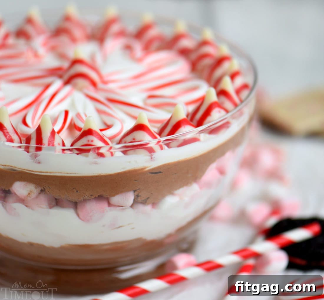 Decadent Peppermint Mocha Cheesecake Dip 5 This easy Layered Peppermint Mocha Cheesecake Dip will be the STAR of all your holiday parties! With it's fun, colorful layers, and 5 minute prep time, everyone wins!