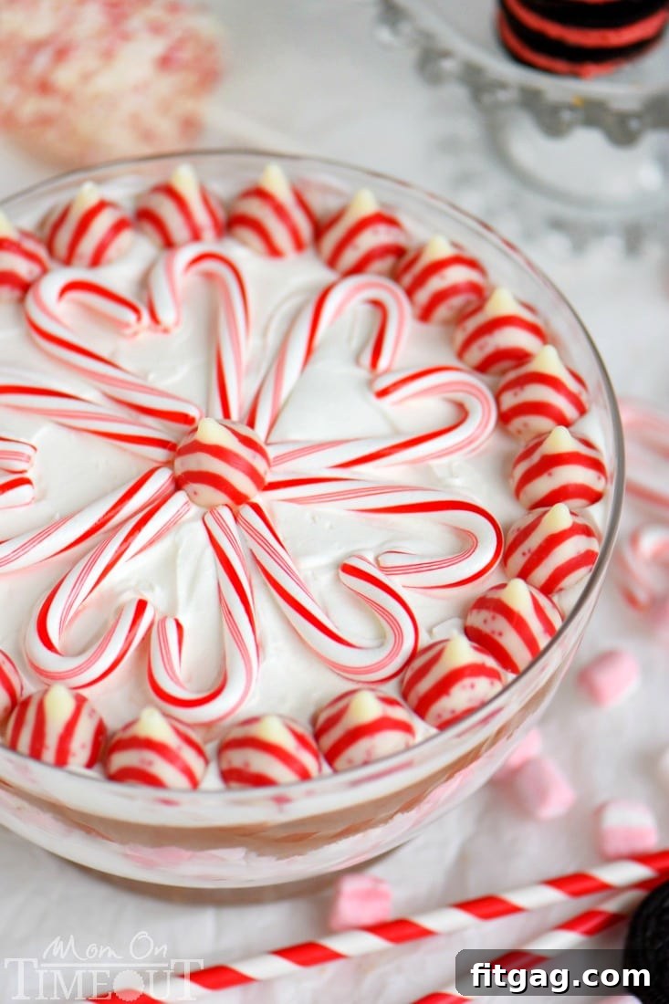 Decadent Peppermint Mocha Cheesecake Dip 6 This easy Layered Peppermint Mocha Cheesecake Dip will be the STAR of all your holiday parties! With it's fun, colorful layers, and 5 minute prep time, everyone wins!