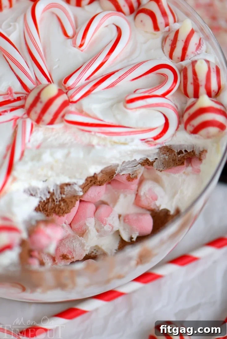 Holiday Peppermint Mocha Cheesecake Dip 7 This easy Layered Peppermint Mocha Cheesecake Dip will be the STAR of all your holiday parties! With it's fun, colorful layers, and 5 minute prep time, everyone wins!