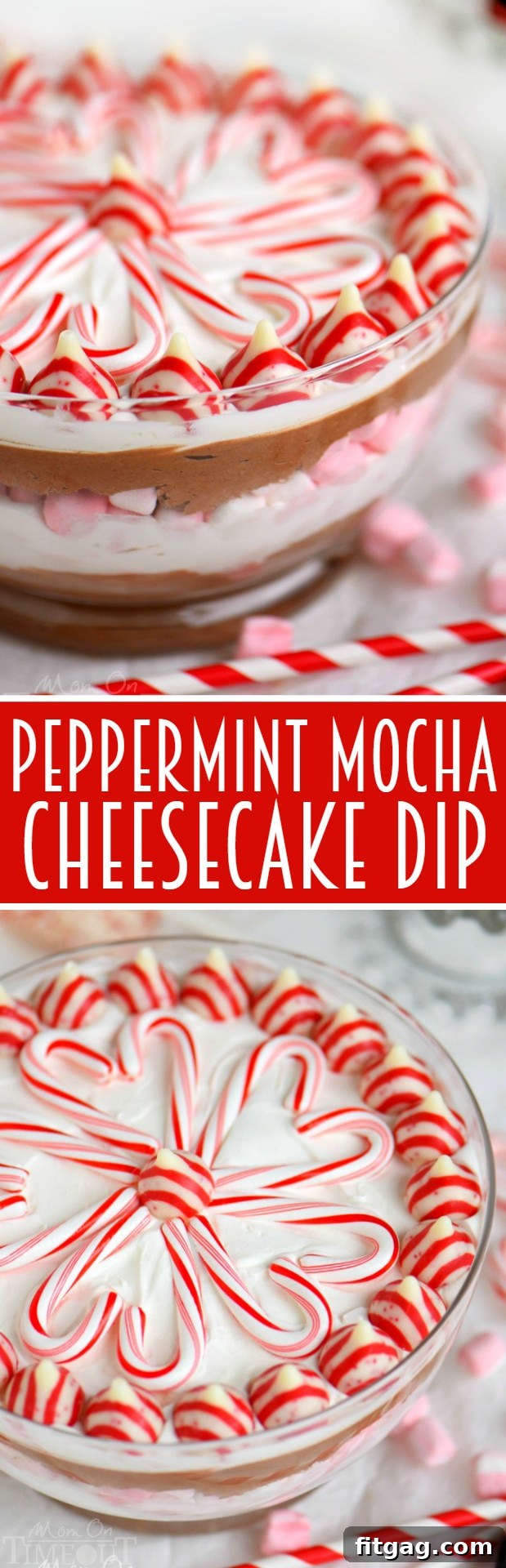 Decadent Peppermint Mocha Cheesecake Dip 9 This easy Layered Peppermint Mocha Cheesecake Dip will be the STAR of all your holiday parties! With it's fun, colorful layers, and 5 minute prep time, everyone wins! Works beautifully as a holiday appetizer or dessert!