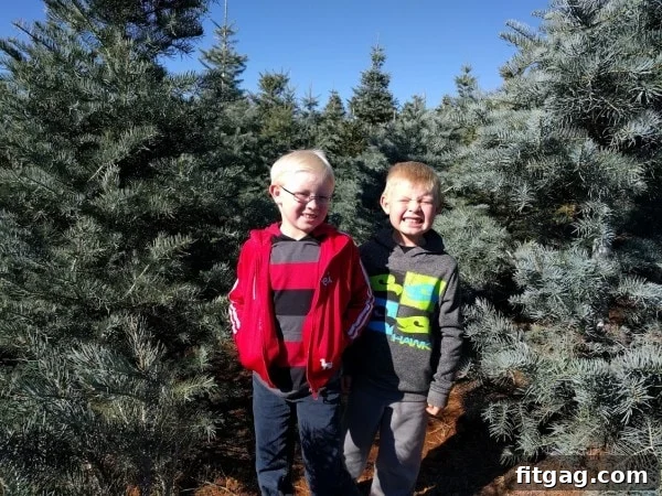 A family enjoying the festive atmosphere at Apple Hill, searching for the perfect Christmas tree amidst rows of evergreens.