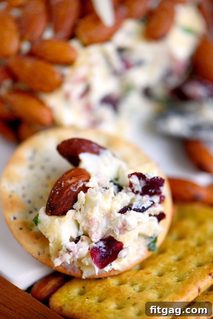 An overhead shot of the Cranberry Almond Cheese Ball, showcasing its rich texture and vibrant cranberry and almond coating.