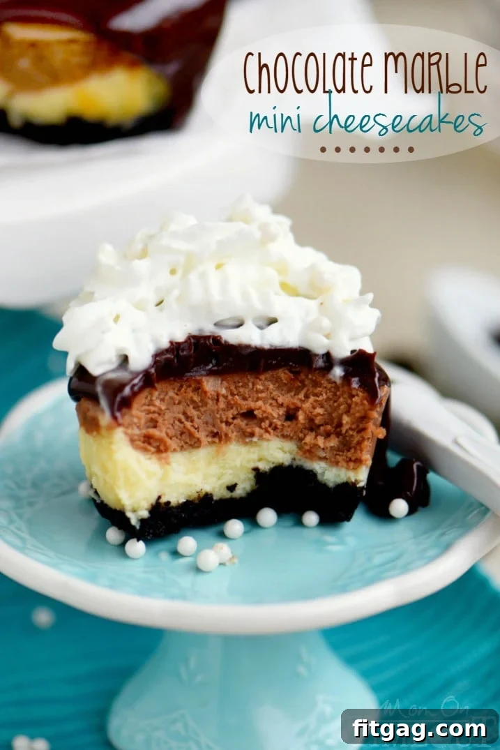 Decadent mini cheesecakes with smooth chocolate ganache topping, ready to be served.