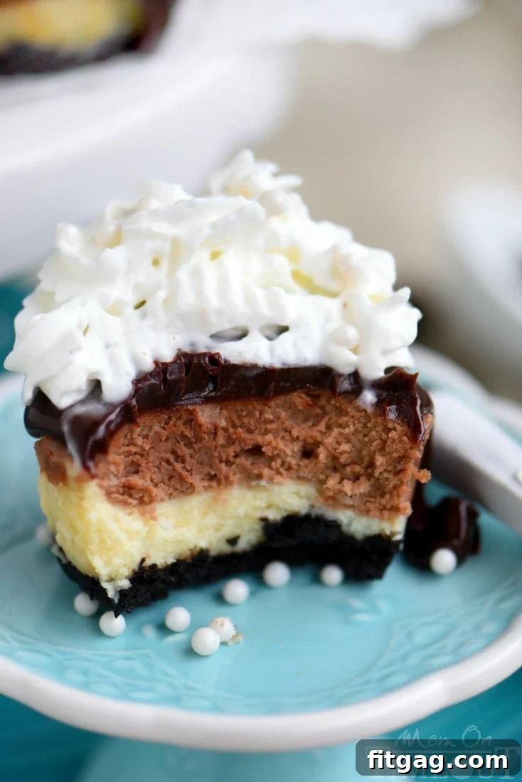 A mini cheesecake with a perfect bite taken, revealing the beautiful marble pattern, topped generously with whipped cream.