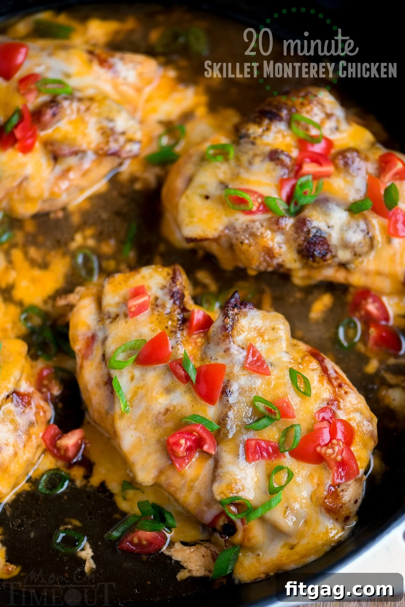 A mouth-watering close-up of Skillet Monterey Chicken, perfectly topped with fresh diced tomatoes and vibrant green onions, ready to be served from the pan. An irresistible quick dinner idea. #montereychicken #skilletdinner #easyrecipe #chickendinner #baconcheesechicken close up of monterey chicken in skillet topped with tomatoes and green onions
