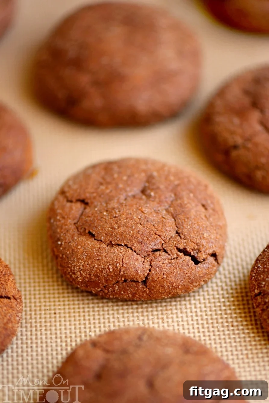 Close-up of freshly baked Mexican Chocolate Snickerdoodles on a cooling rack, showing the perfect crinkle top and cinnamon-sugar coating.