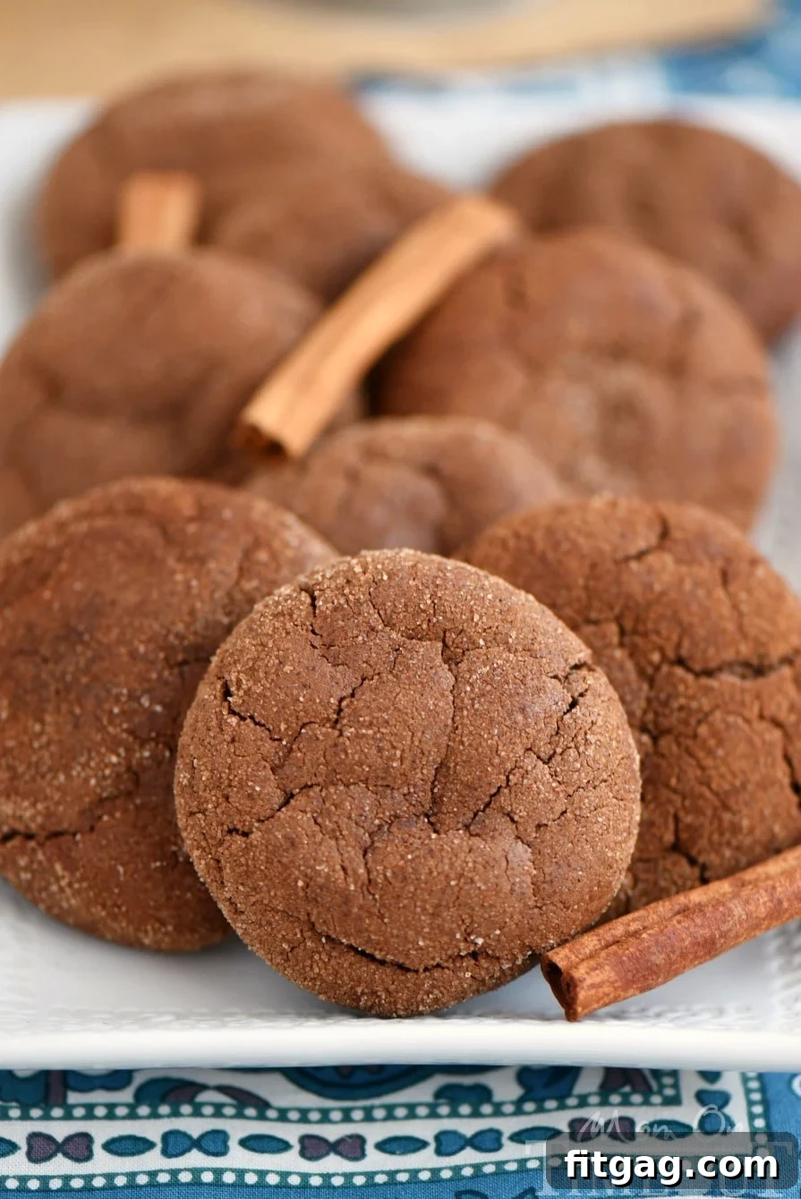 Stack of Mexican Chocolate Snickerdoodles dusted with generous cinnamon sugar, ready to be enjoyed as a decadent dessert.