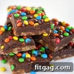 Monster Fudge Bars