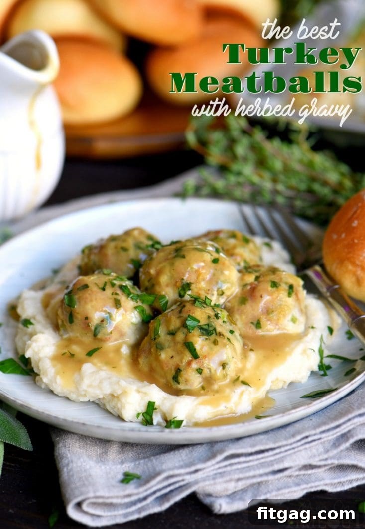 The Best Turkey Meatballs