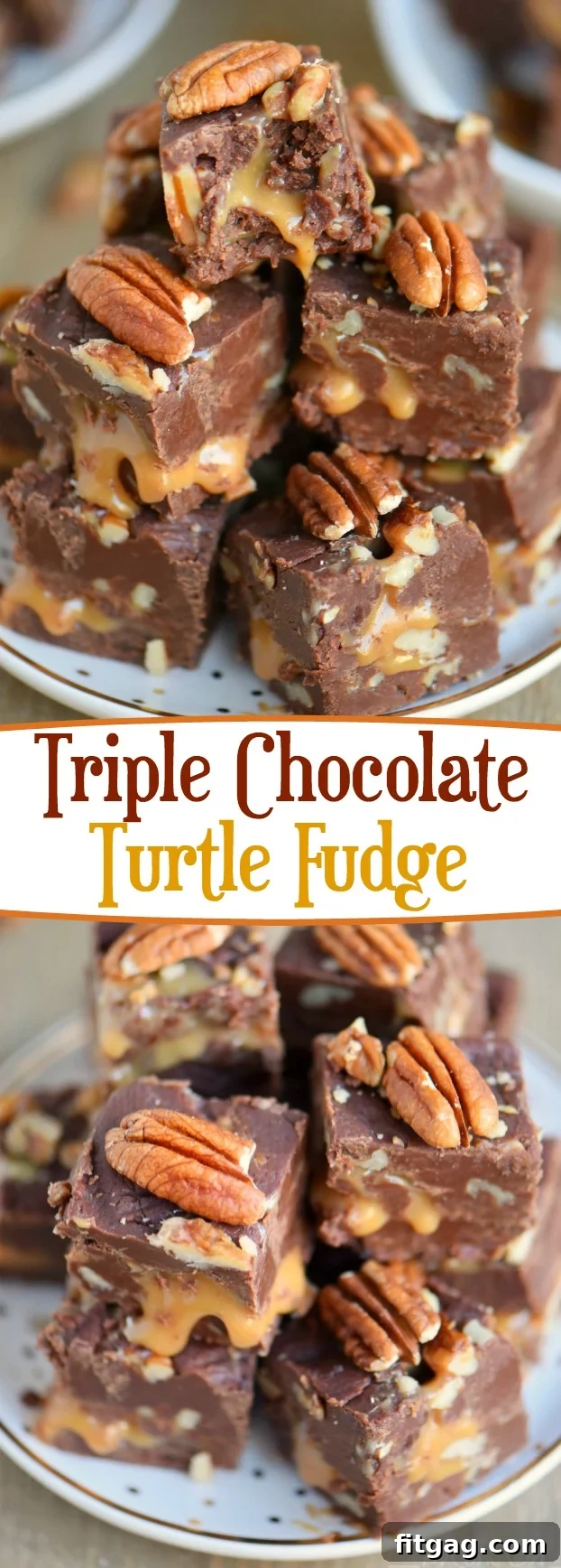 Chocolate Turtle Trilogy Fudge 6 Trish's Triple Chocolate Turtle Fudge - a rich, caramel-filled holiday dessert