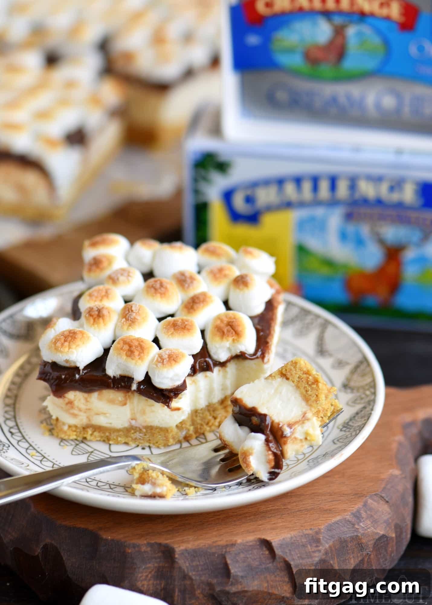 Layers of Delight: No Bake S'mores Cheesecake Bars Components Close-up of No Bake S'mores Cheesecake Bars showing the distinct layers: crunchy graham cracker crust, creamy marshmallow cheesecake, rich chocolate ganache, and toasted marshmallows on top.