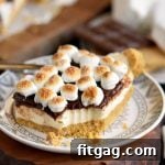 No Bake S'mores Cheesecake Bars - full recipe image