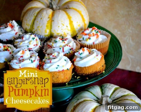 Mini Gingersnap Pumpkin Cheesecakes, individual servings of creamy, spiced cheesecake.