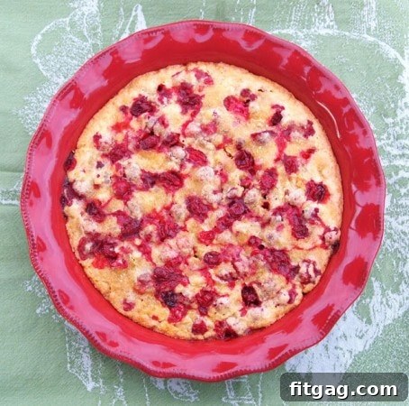 Easy No Crust Cranberry Pie, a simple yet delicious fruit pie.