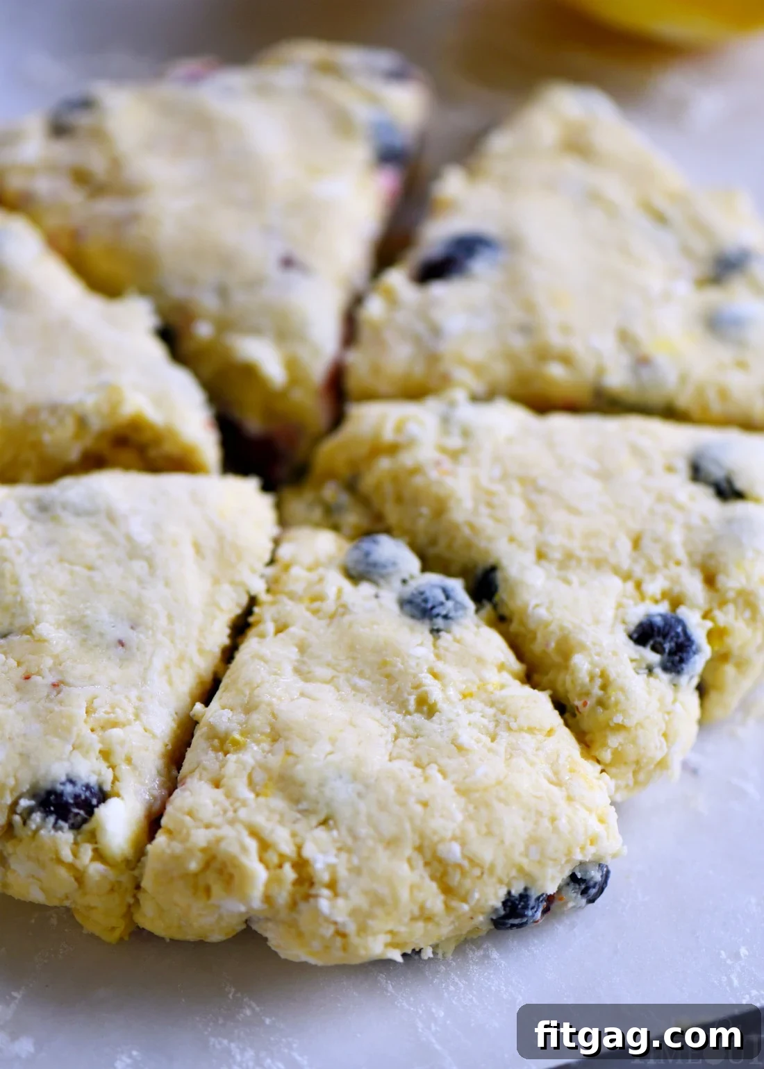 Lemon blueberry scone dough skillfully shaped into a disc, ready for cutting into wedges, with vibrant fresh blueberries visible