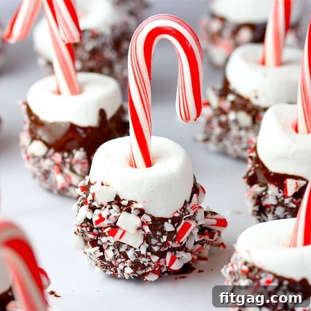 Candy Cane Marshmallow Pops Candy Cane Marshmallow Pops, dipped in chocolate and crushed candy canes.